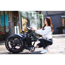 OEM Factory 48V1000W 20inch Powerful Fat Tyre Off-road Electric Bicycle/Electric Bike fat tire